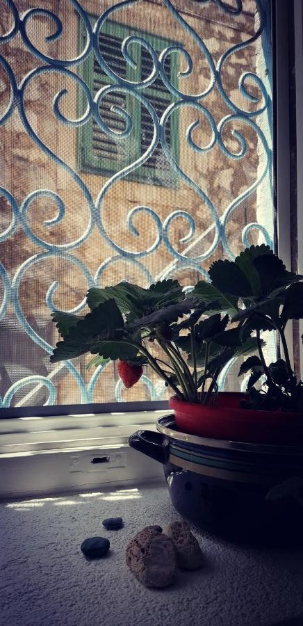 Liza'S Downtown Apartment Χβαρ Εξωτερικό φωτογραφία